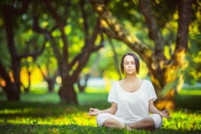 美加墨联合举办-十五连败阴影下，从莎拉波娃到篮网教练的压力群像