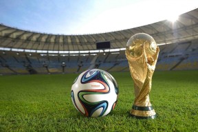 2026世界杯官网-莎拉波娃五连败创生涯低谷，中国队教练临危受命压力陡增